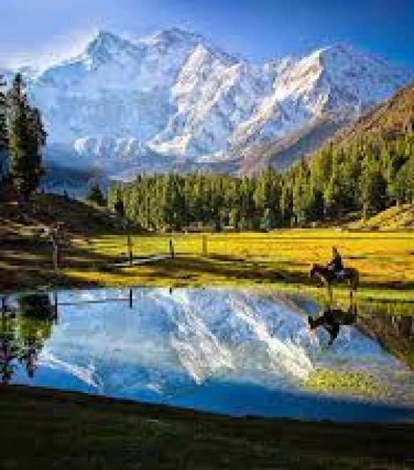 Fairy Meadows