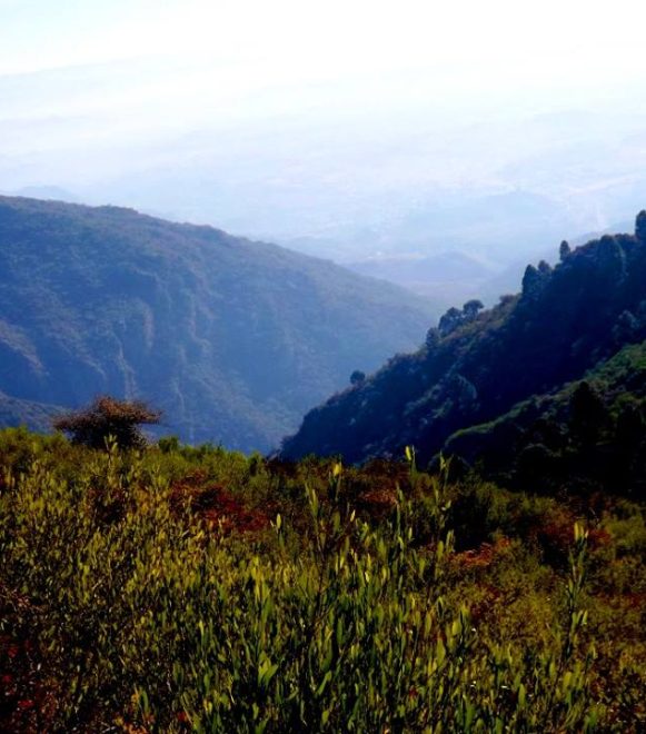 Margalla Hills National Park