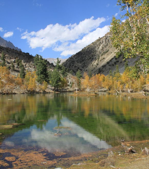 Naltar Valley